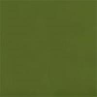 Mud Green